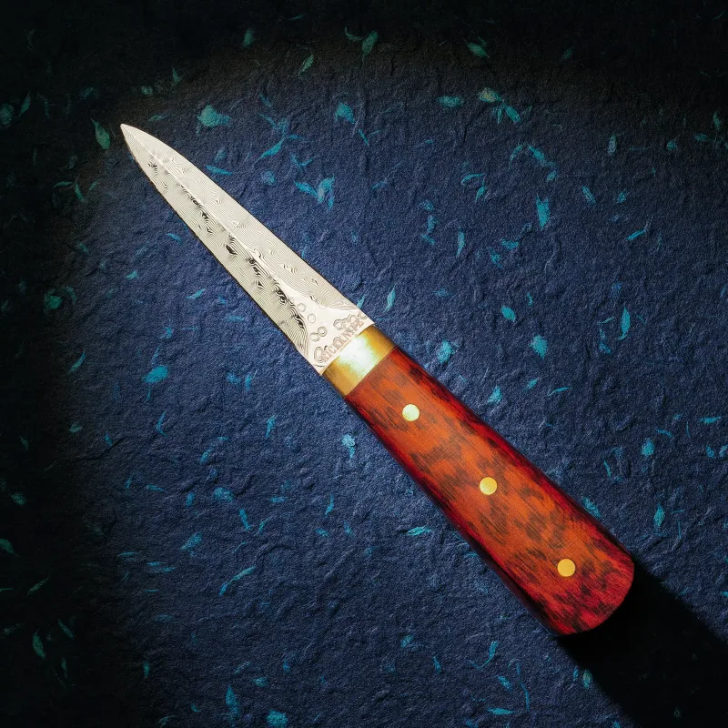 Østerskniv i damaskusstål med håndtag i snakewood