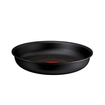 Tefal Ingenio Excellence Fusion stegepande Ø24 cm
