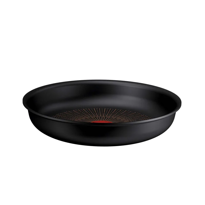 Tefal Ingenio Excellence Fusion stegepande Ø24 cm