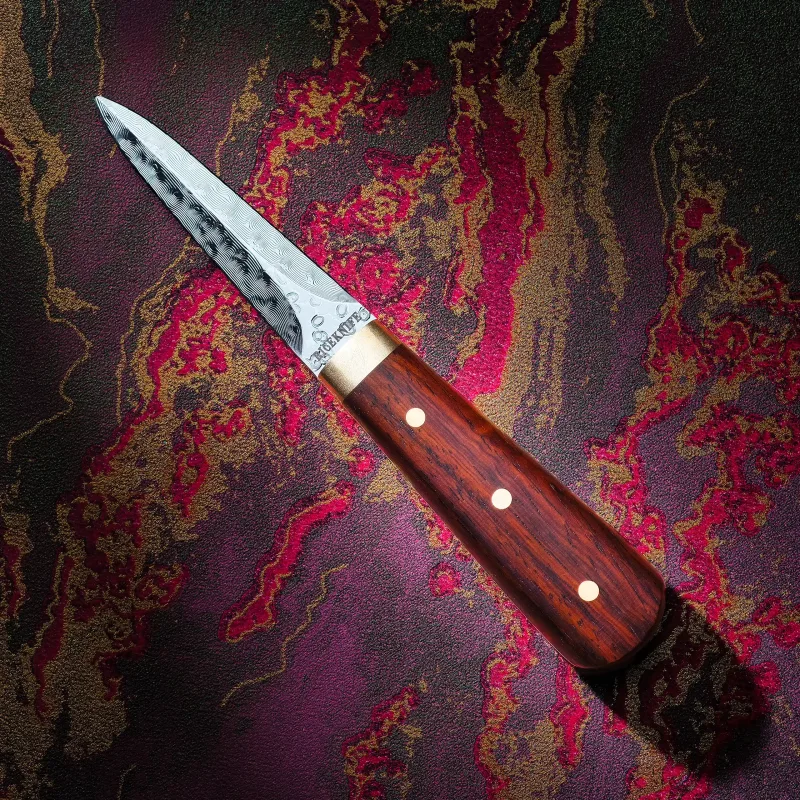 Damaskus Østerskniv med Håndtag i Cocobolo