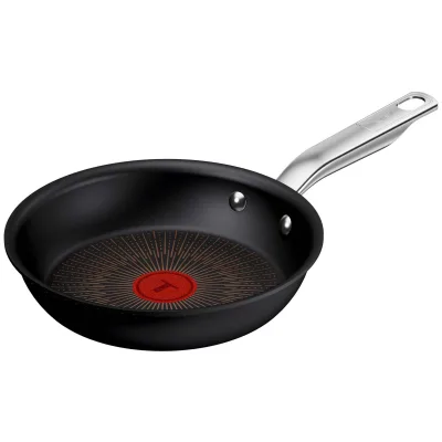 Tefal Experience stegepande 20 cm