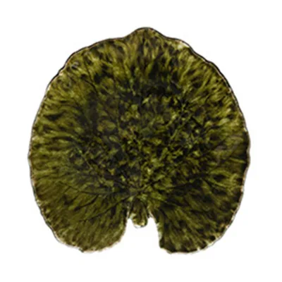 Costa nova Riviera Alchemille Leaf fad 18 cm
