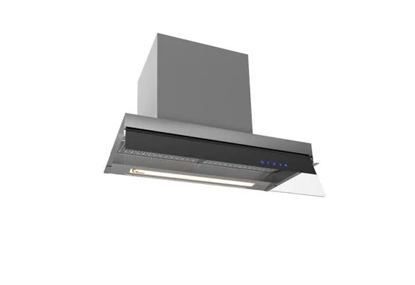 Thermex Integro 51 II Premium - 60 cm