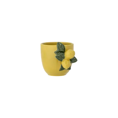 Limone kop